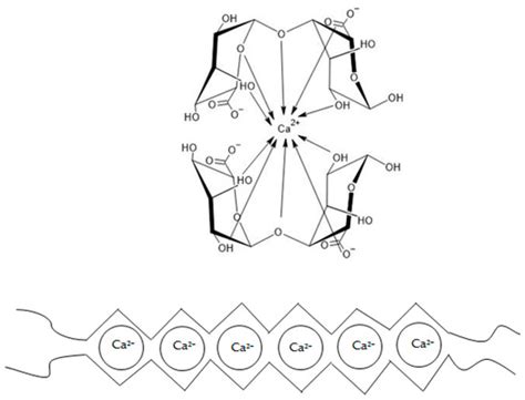Alginates Combined with Natural Polymers as Valuable Drug Delivery ...