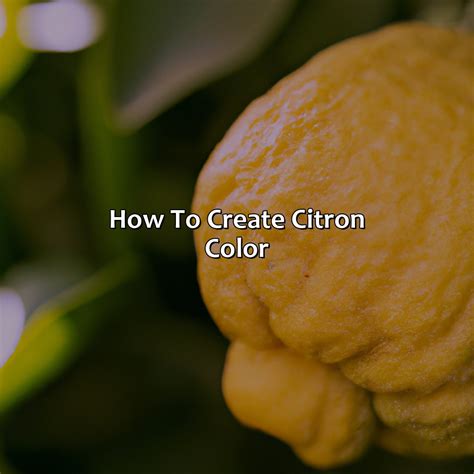 What Color Is Citron - colorscombo.com