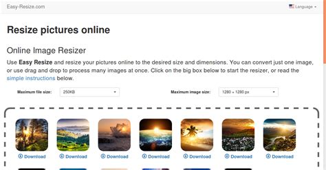 Resize any Photo, Image and Picture for Free Online - Easy-Resize.com