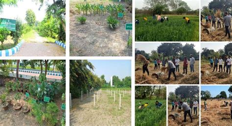 IIAST Farms – Practical Agricultural Training Grounds