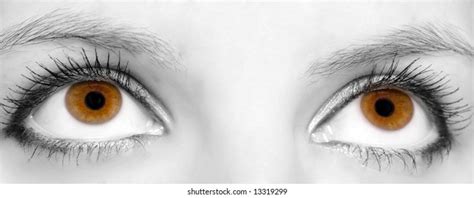Image result for CSS Keyframe Example