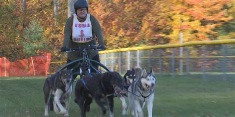Dryland Dash kicks off dog race season at Negaunee Township Park