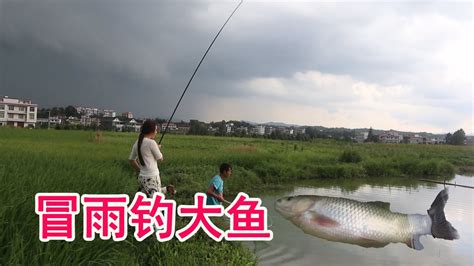 农村鱼塘放了30条鱼，人放天养8年，放干水去抓鱼看看鱼有多大多值钱 #抓鱼【米菜兄弟】 - YouTube