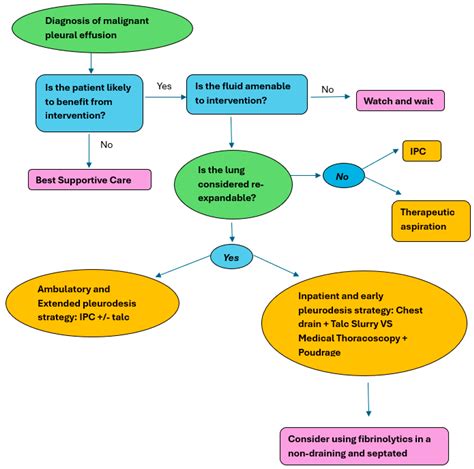The 2023 British Thoracic Society Guideline for Pleural Disease Update ...