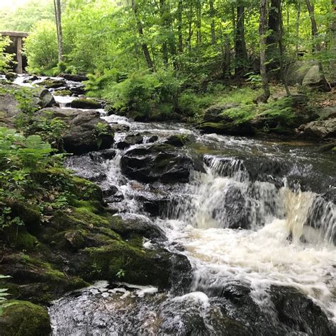 THE 5 BEST Places to Visit in Wilton (2025) - Must-See Attractions