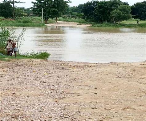 उत्तर ब‍िहार में बारिश से नदियों में उफान, बाढ़ का खतरा बढ़ा; ठनका ...