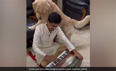 हारमोनियम बजा रहा था मालिक, कुत्ता पास खड़े होकर लगा घूरने, फिर जो किया ...