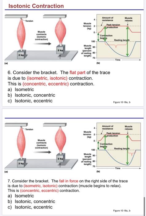 Image result for Isotonic Muscle Contraction