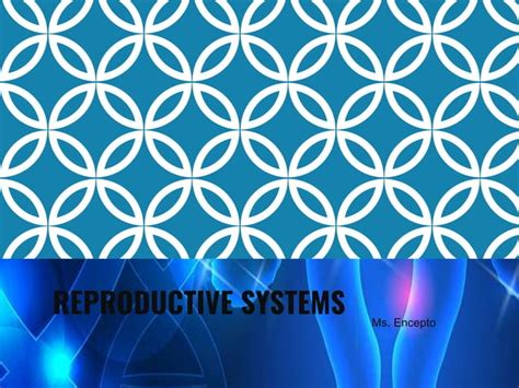 Image result for Reproductive System Parts