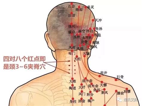 SKG 颈部按摩仪 脖子肩颈护颈仪热敷物理环颈揉捏 N5