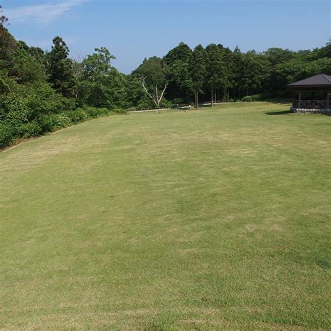 Niigata Ogata Greenery Park (Joetsu) - All You Need to Know BEFORE You Go