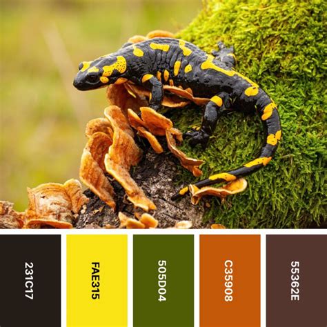 Nature Paper Color Set 的图像结果