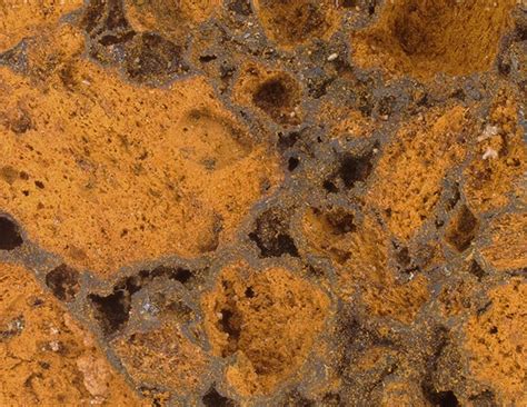 Image result for KEYENCE Microscope