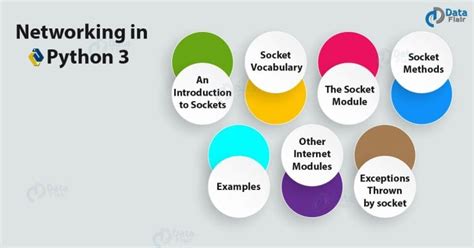 Python Module Network 的图像结果