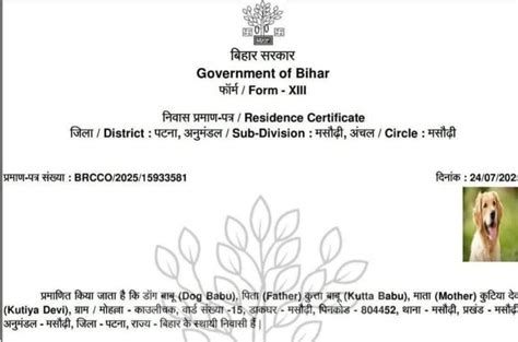 અહો આશ્ચર્યમ્: બિહારમાં ‘ડોગ બાબુ’ને મળ્યું રહેઠાણનું પ્રમાણપત્ર ...