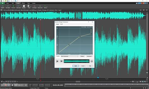 Image result for WavePad Sound Editor Code