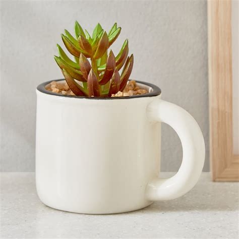 Buy Gloria Palm Artificial Succulent in Ceramic Mug from Home Centre at ...