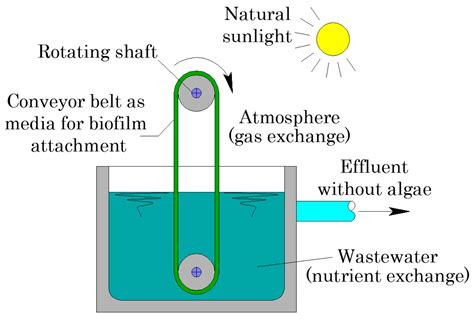 A Review on the Reliability and the Readiness Level of Microalgae-Based ...