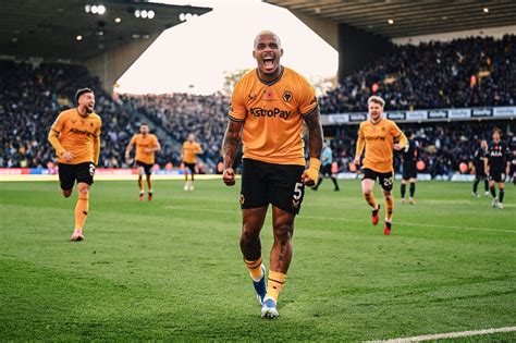 Image result for Wolves Footballl