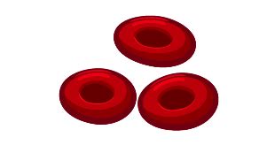 Image result for Raspberry 5 Pi Hailo AI Tutorial
