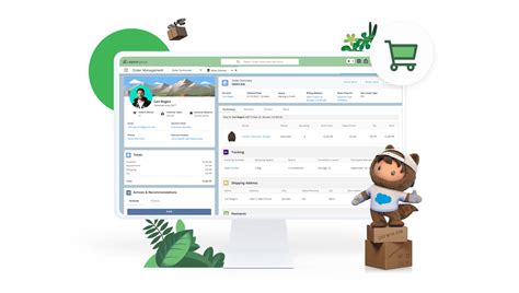 Image result for Salesforce Developer Order Management