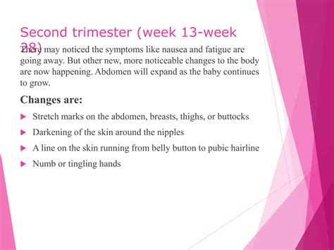 Pregnancy & Different Stages | PPTX