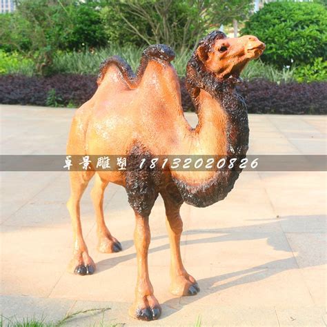骆驼雕塑，动物玻璃钢动物 - 卓景雕塑公司