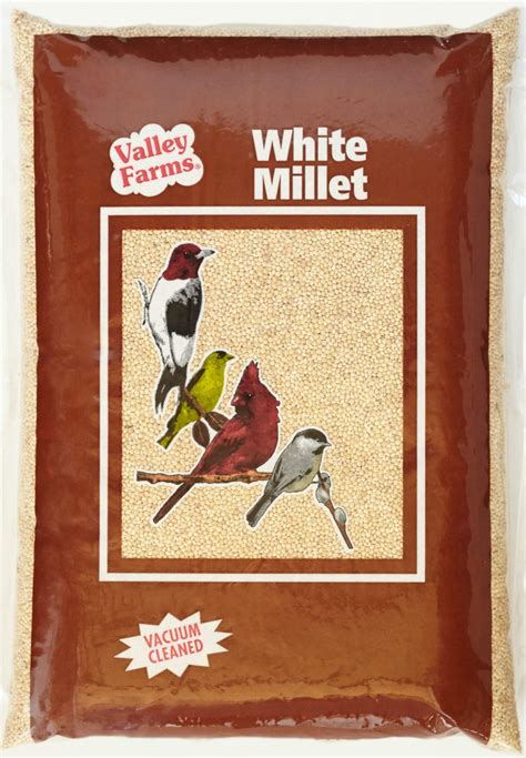 White Proso Millet For Birds at Lorenzo Marrs blog