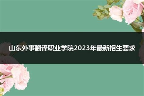 山东外事职业大学-掌上高考