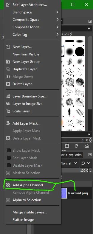 File:Nm2.webp - bg3.wiki