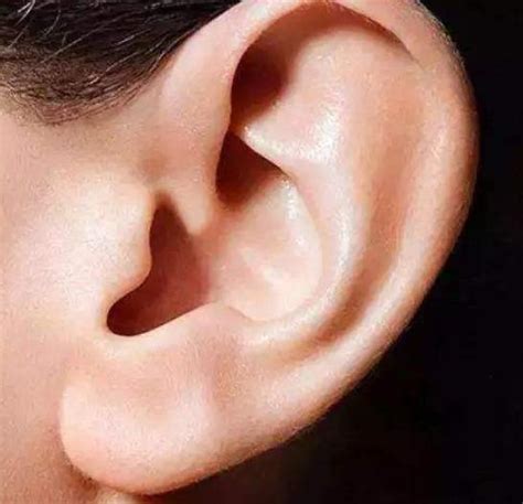 六种耳朵类型看命运，你的耳朵是哪种形状？就是什么命！_事业