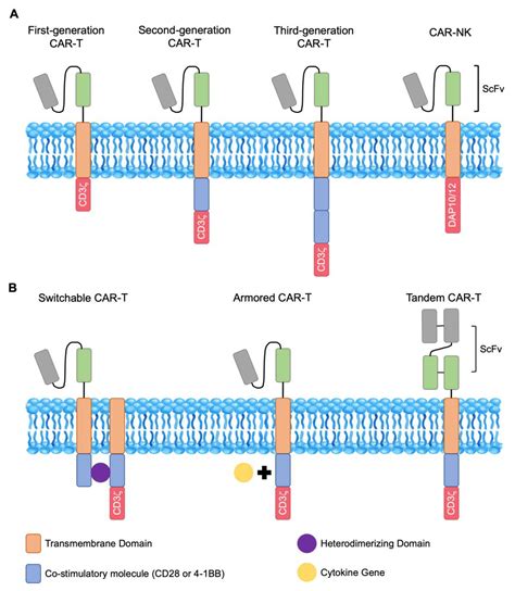 Chimeric Antigen Receptor Cell Therapy: Overcoming Obstacles to Battle ...
