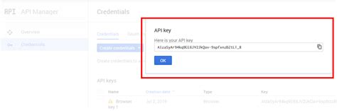 Google API Key 的图像结果
