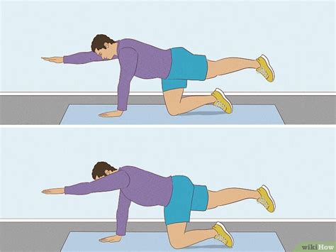 Image result for Lower Back Core Exercises