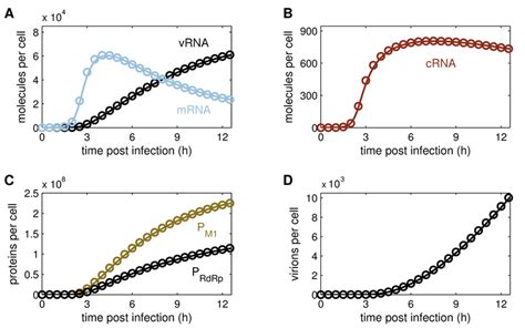 Image result for Stochastic Model vs Deterministic Model