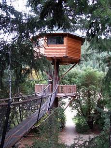 Tree Houses Or Houses In Trees by Amazing Tree House Wallpapers Tree Houses Or Houses In Trees