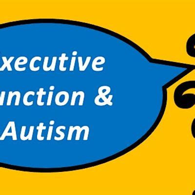 Executive Function & Autism (1 hour webinar with Sam), June 12 2024 ...