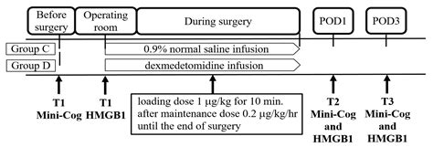 The Effect of Dexmedetomidine on the Mini-Cog Score and High-Mobility ...