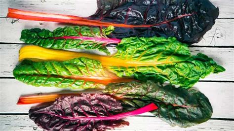 Winter diet: 7 foods to boost your immunity in cold weather
