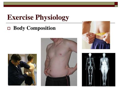 Exercise Science 的图像结果