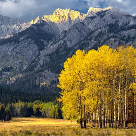Aspen Grove Utah Campground: RV Camping & Hiking