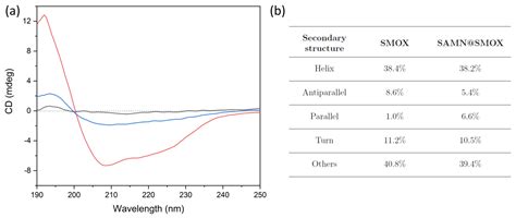 Spermine Oxidase–Substrate Electrostatic Interactions: The Modulation ...