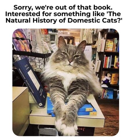 Image result for LibGuide Meme