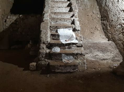 Jumana Manna: the body, the earth and the matter | Meer