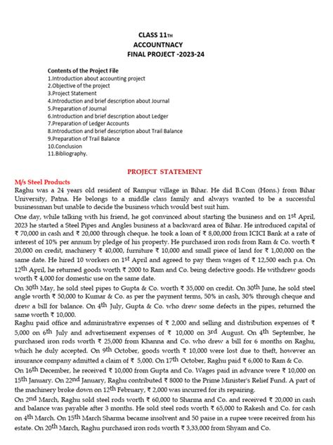 Image result for Accounts Class 11 Project File PDF