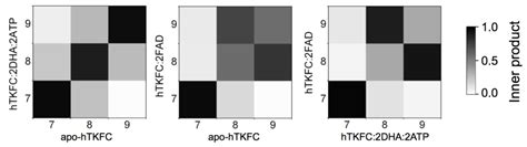Closure of the Human TKFC Active Site: Comparison of the Apoenzyme and ...