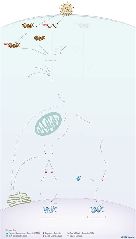 Controlling Process Example 的图像结果