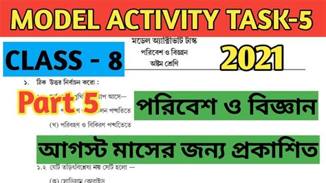 Model Activity Task Class 8 Part 5 的图像结果