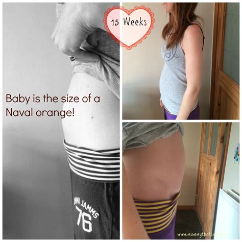 Bump Watch Week 15-20 - Mum, Thats Me