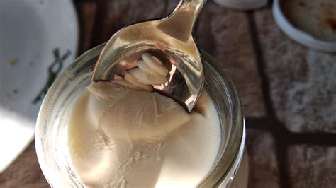 Can you eat curd at night? | Wellness Munch